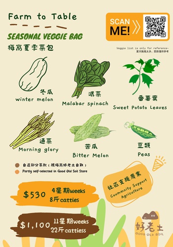 11 週 weeks 夏季菜包 Summer Veggie Bag 2023